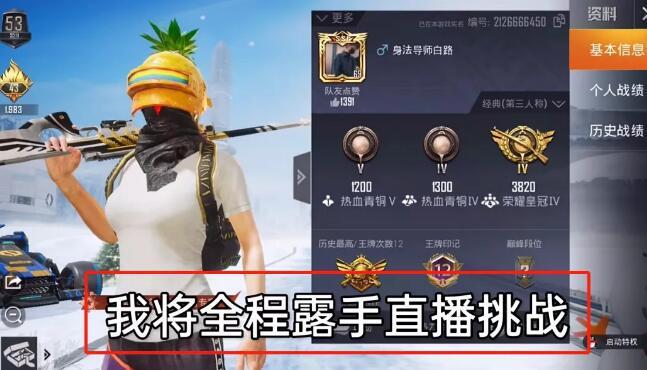 和平精英辅助【彩虹】